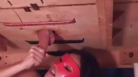 Das kostenlose porno ...