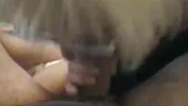 Atemberaubender Drei ...