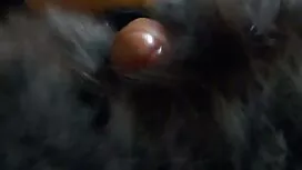 Sex eldosyat Schwanz ...