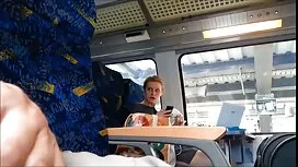 Schwierigkeit Zaun s ...