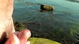 Die Schwester der Fr ...